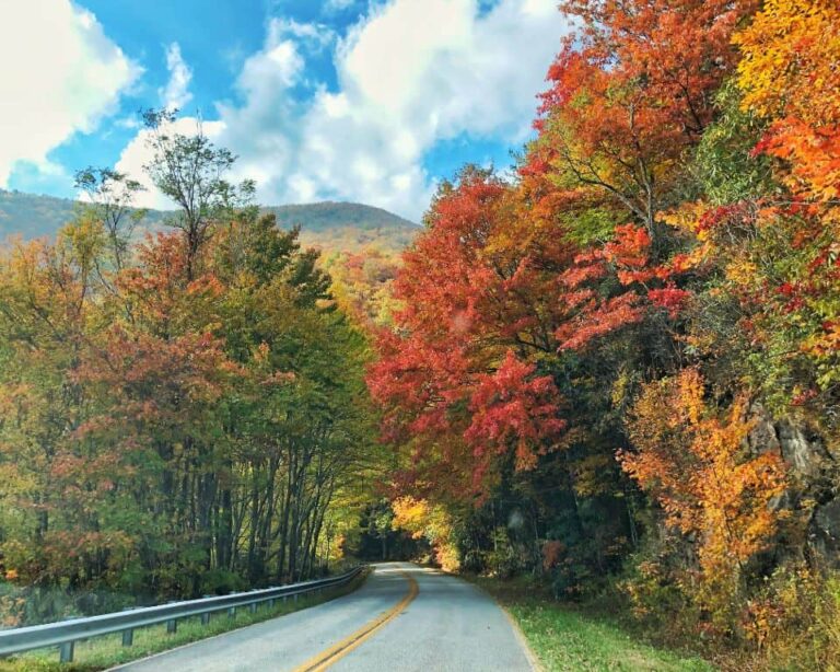 Yearn for vibrant fall foliage and apple picking traditions? Discover North Georgia Mountain weekends for an unforgettable autumn adventure.