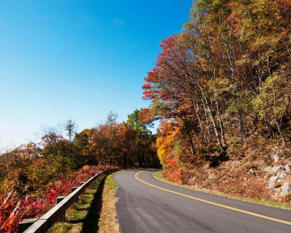 Kickstart your adventure through Georgia's hidden highways, exploring scenic drives from Blue Ridge to Tybee Island, revealing a world of stunning landscapes and rich history.