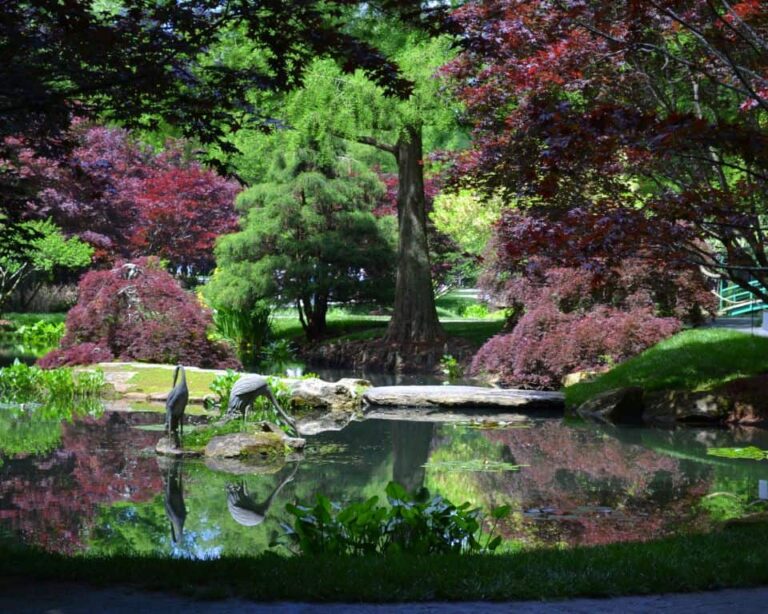 Discover Augusta, GA's hidden gems, from secret gardens to forgotten cemeteries, for an offbeat adventure steeped in beauty and history.